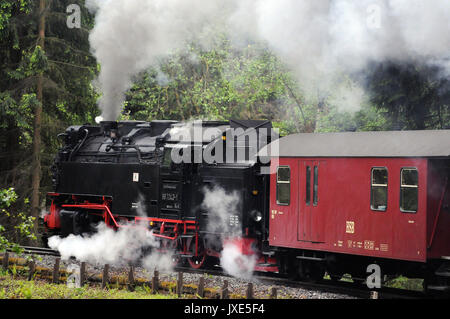 997243-1und Zug klettern zwischen Wernigerode und Drei Annen Hohne. Harzer Schmalspurbahnen. Stockfoto