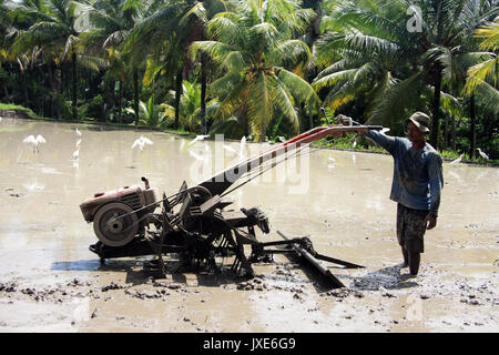 Bali/Indonesien - September 09, 2017: Landwirt in Ubud Pflügen der Reisfelder mit Maschine Stockfoto