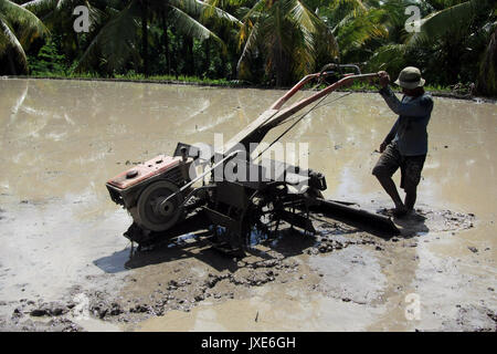 Bali/Indonesien - September 09, 2017: Landwirt in Ubud Pflügen der Reisfelder mit Maschine Stockfoto