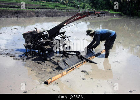 Bali/Indonesien - September 09, 2017: Landwirt in Ubud Pflügen der Reisfelder mit Maschine Stockfoto