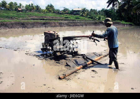 Bali/Indonesien - September 09, 2017: Landwirt in Ubud Pflügen der Reisfelder mit Maschine Stockfoto