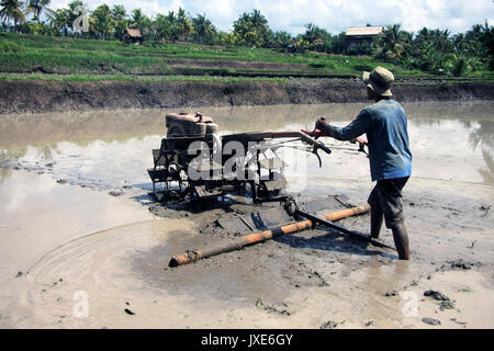 Bali/Indonesien - September 09, 2017: Landwirt in Ubud Pflügen der Reisfelder mit Maschine Stockfoto