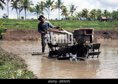 Bali/Indonesien - September 09, 2017: Landwirt in Ubud Pflügen der Reisfelder mit Maschine Stockfoto