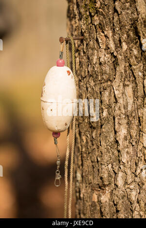 Angeln-Räuber Stockfoto