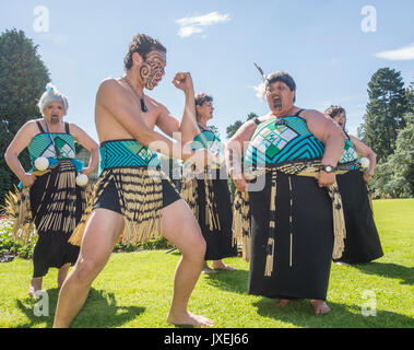 Maori Tänzer aus Neuseeland Durchführung der Haka in Billingham internationale Folklore Festival. Großbritannien Stockfoto