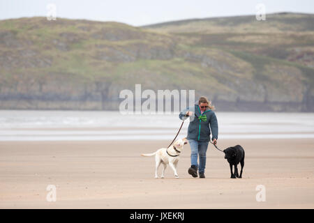 Frau gehen zwei Hunde an der Leine an einem Sandstrand an der Cranbrook Strand auf Anglesey während einer windigen Tag im Sommer, Anglesey, Wales, Großbritannien Stockfoto