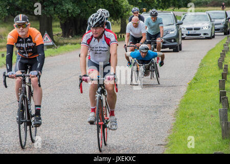 Richmond Park, UK. 16 Aug, 2017. Radfahrer, darunter einen Rollstuhl Rennen, Mix mit Verkehr Verkehr auf einer der Straßen im Richmond Park. Credit: Guy Bell/Alamy leben Nachrichten Stockfoto