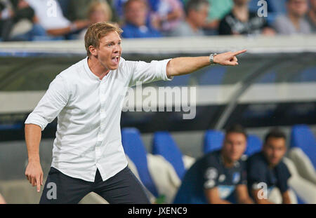 Hoffenheim, Deutschland. 15 Aug, 2017. Julian NAGELSMANN, Trainer TSG Hoffenheim, reagiert bei Match für die TSG 1899 Hoffenheim - FC Liverpool für die UEFA Champions League in Hoffenheim, August 15, 2017 Quelle: Peter Schatz/Alamy leben Nachrichten Stockfoto