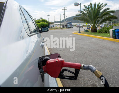 Transport und Ownership Konzept - Pumpen Benzin im Auto an der Tankstelle. Stockfoto