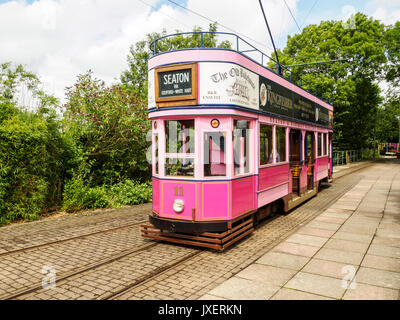 Schmalspur Straßenbahnen auf der Seaton Tramway, eine touristische Attraktion, die zwischen Seaton und Colyton in Devon. Straßenbahn warten an Colyton. Colyton. Stockfoto