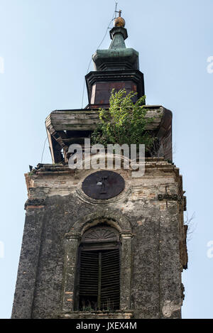 Verlassene Kirche mit einem Baum wachsen auf es Stockfoto