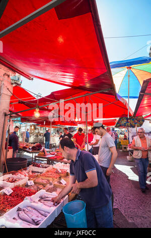 Fischhändler am Ballaro Markt in der Albergheria Stadtteil Palermo, Sizilien, Italien. Stockfoto