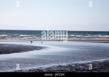 Der Strand von Prestwick an einer ruhigen aber sonniger Frühlingstag Ayrshire, Schottland Stockfoto