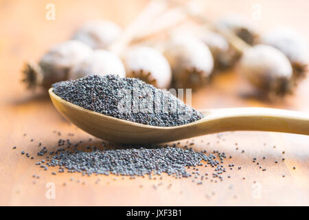 Getrocknete poppy Köpfe und Samen. Blue Poppy. Stockfoto