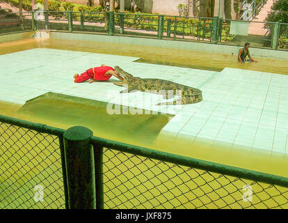 Koh Samui, Thailand - 28. Juni 2008: Die lokalen Mann seinen Kopf im Maul des Krokodils auf Koh Samui Stockfoto