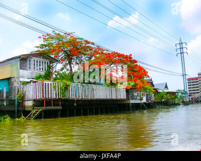 Holz- Slums auf Stelzen die Ufer des Chao Praya Fluss in Bangkok, Thailand Stockfoto