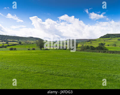 Dh Esk Valley DANBY York North Yorkshire Moors Felder mit Blick in das Tal von Danby Moor Stockfoto