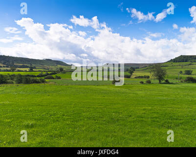 dh Esk Valley york Nationalpark DANBY NORTH YORKSHIRE Fields Talblick auf Danby Moor schöne Landschaft Moors Landschaft Stockfoto