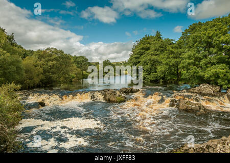 Teesdale Landschaft, den Fluss-T-Stücke zwischen Low Force und High Force Wasserfälle, wie aus der Pennine Way langen Fußweg zu sehen, im Sommer Stockfoto