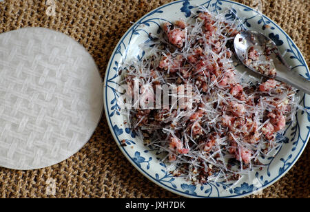 Rohstoff für vietnamesische Eierbrötchen oder Frühlingsrollen oder cha Gio, ist beliebt Essen in Vietnam Küche, Füllung aus Fleisch und Wrapper von Reis papier Stockfoto