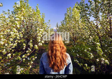 Frau mit roten Haaren im Garten mit Kirschblüten Bäume bei Sonnenuntergang Stockfoto