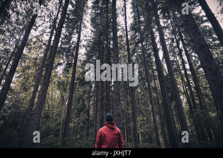 Ein Mann mit roter Jacke in einem Wald und bis auf die Bäume Stockfoto