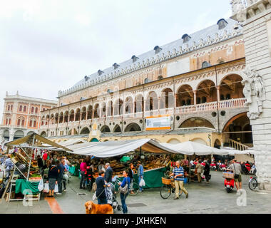 Padua, Italien, 19. September 2014: Szene des Palazzo della Ragione Stockfoto