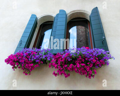 Mit Blumen auf alte Wand Fenster Stockfoto