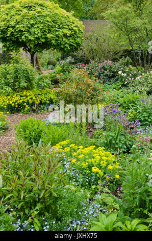 Vergissmeinnicht (myosotis), Wolfsmilch (Euphorbia polychroma Syn. euphorbia epithymoides) und columbines (Aquilegia) in einem Frühlingshaften beständigen Garten. Stockfoto