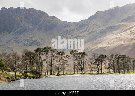 Buttermere Lake, Lake District National Park, Cumbria, England, Großbritannien Stockfoto