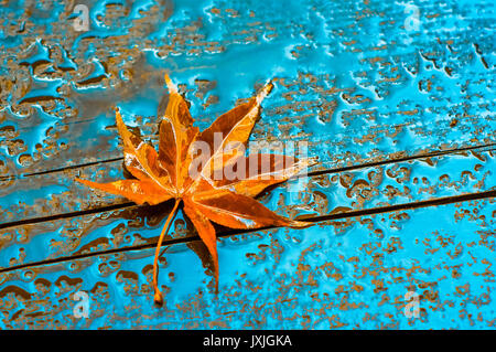Herbst Blatt auf nassem Untergrund aus Holz Stockfoto