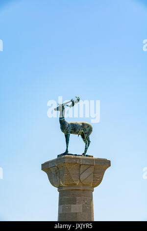 Rotwild (Hirsch) - ein Symbol für die Stadt Rhodos, die Insel Rhodos, Griechenland Stockfoto