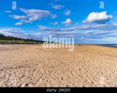 Dh Alnmouth Strand ALNMOUTH NORTHUMBERLAND Menschen Sand strand Northumbria Sommer Abend beach blue sky Küste Stockfoto