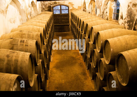 Eichenfässern reifen Sherry Wein im Keller, Gonzalez Byass Bodega, Jerez De La Frontera, Provinz Cadiz, Spanien Stockfoto