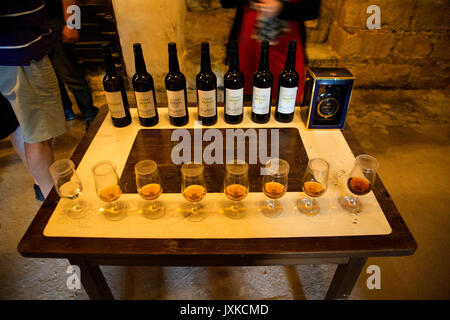 Gläser Proben cognac Produktion in Gonzalez Byass, Jerez de la Frontera, Provinz Cadiz, Spanien Stockfoto