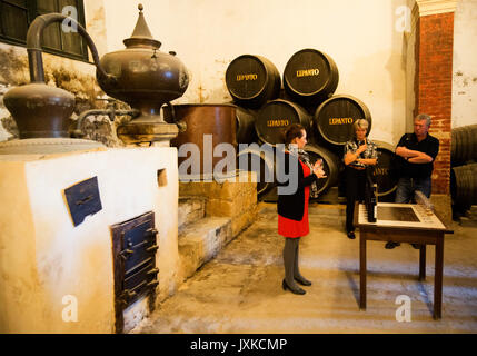 Tourguide erklärt Weinbrand Cognac-Produktion in Bodega Gonzalez Byass Jerez De La Frontera, Provinz Cadiz, Spanien Stockfoto
