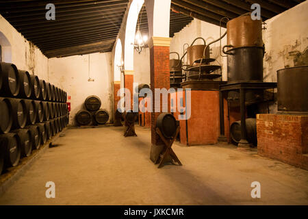 Destillieren Altgeräte für Weinbrand Cognac-Produktion in der Provinz Gonzalez Byass Bodega, Jerez De La Frontera, Cadiz, Spanien Stockfoto
