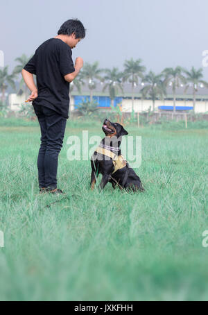 Ein Mann, der seinen Hund war Stockfoto