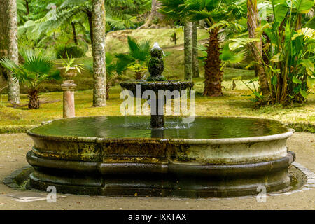 Brunnen in Parque Terra Nostra, Furnas, Sao Miguel, Azoren Stockfoto