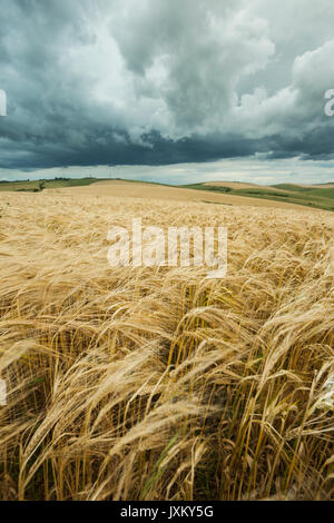 Stürmischen Himmel über South Downs in West Sussex, England. Stockfoto