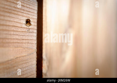 Nut und Feder außen Garten Holztür mit Scharnieren aus Gusseisen