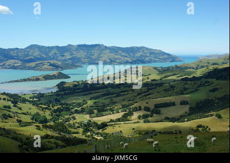 Akaroa Harbour, New Zealand Stockfoto