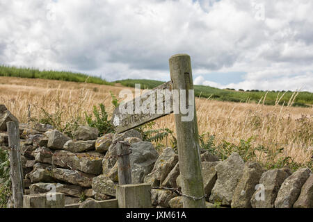 Wegweiser für die hundertjährige Pfad an der Küste zu Fuß in North Yorkshire in der Nähe von Robin Hood's Bay. Stockfoto