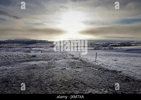 Herde von Tinker auf einem eisigen Weide unter einem bewölkten Himmel in Anundsjoe, Schweden. Stockfoto