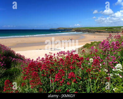 Harlyn Bay in der Nähe von Padstow Anfang Juni. Stockfoto