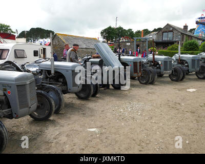 Das Line-up grau Ferguson TE-20 Traktoren am Royal Cornwall zeigen, Wadebridge, Juni 2017. Sie gehören zu den "Fergie Fillies' Display Team. Stockfoto