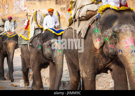 JAIPUR, Indien - Januar 28, 2017: Unbekannter Männer Fahrt eingerichtet Elefanten in Jaleb Chowk in Fort Amber in Jaipur, Indien. Elefantenreiten sind beliebte Stockfoto