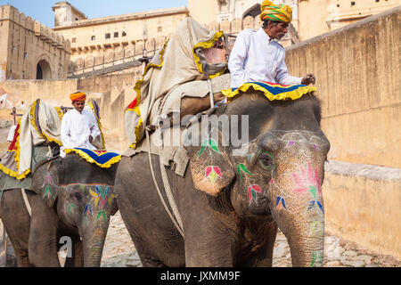 JAIPUR, Indien - Januar 28, 2017: Unbekannter Männer Fahrt eingerichtet Elefanten in Jaleb Chowk in Fort Amber in Jaipur, Indien. Elefantenreiten sind beliebte Stockfoto