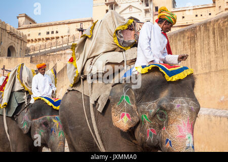 JAIPUR, Indien - Januar 28, 2017: Unbekannter Männer Fahrt eingerichtet Elefanten in Jaleb Chowk in Fort Amber in Jaipur, Indien. Elefantenreiten sind beliebte Stockfoto