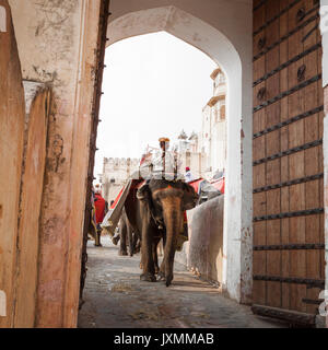 JAIPUR, Indien - Januar 28, 2017: Unbekannter Männer Fahrt eingerichtet Elefanten in Jaleb Chowk in Fort Amber in Jaipur, Indien. Elefantenreiten sind beliebte Stockfoto